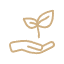 green_C_3px